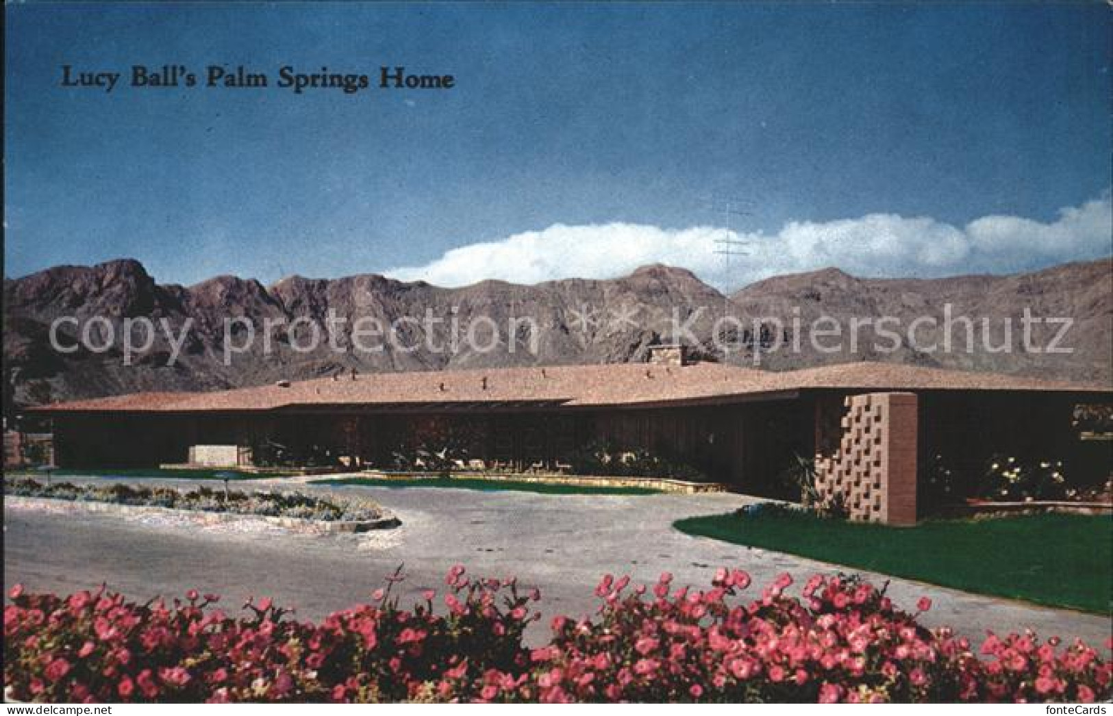 Palm Springs Lucy Balls