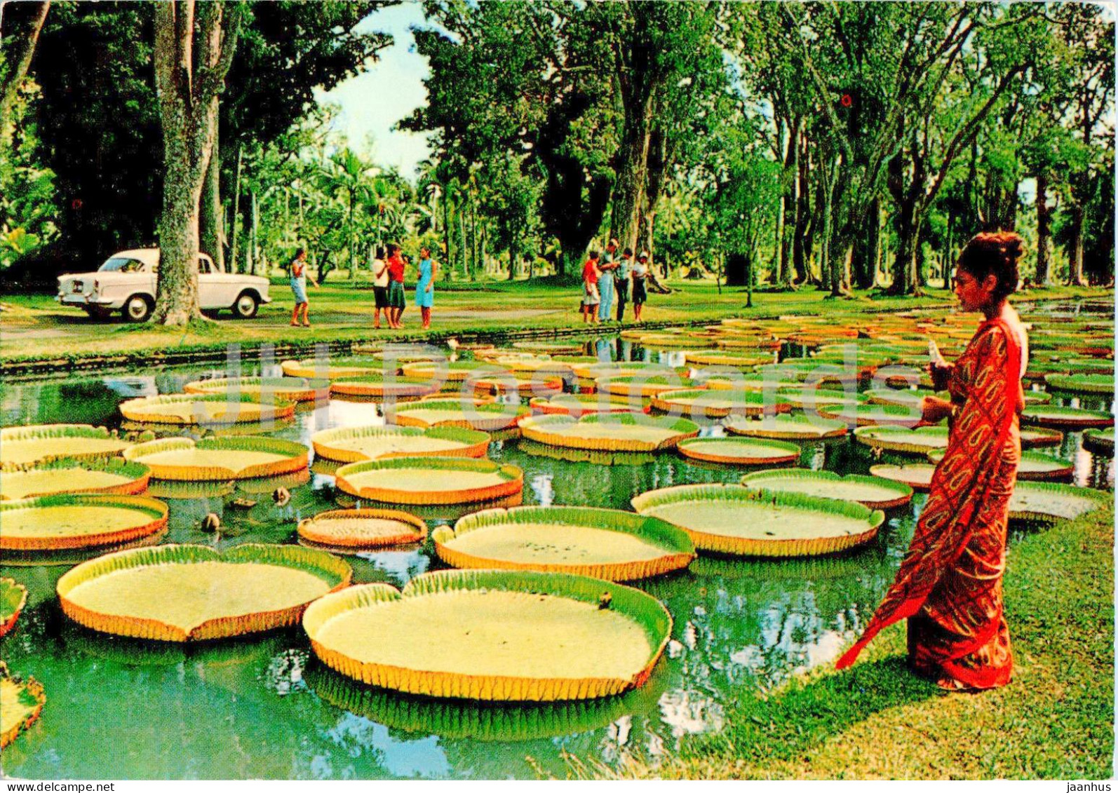 Pamplemousses Gardens - Jardin de Pamplemousses - 31 - 1979 - Mauritius - used