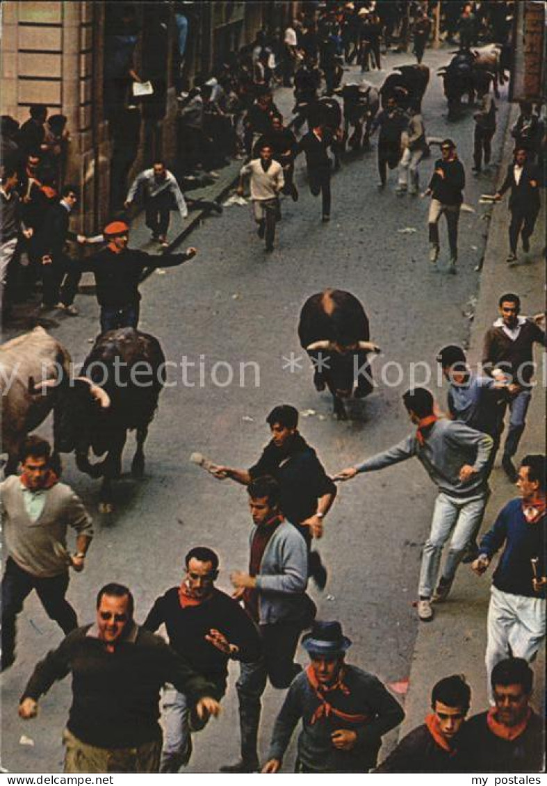 Pamplona Navarra Stierjagd