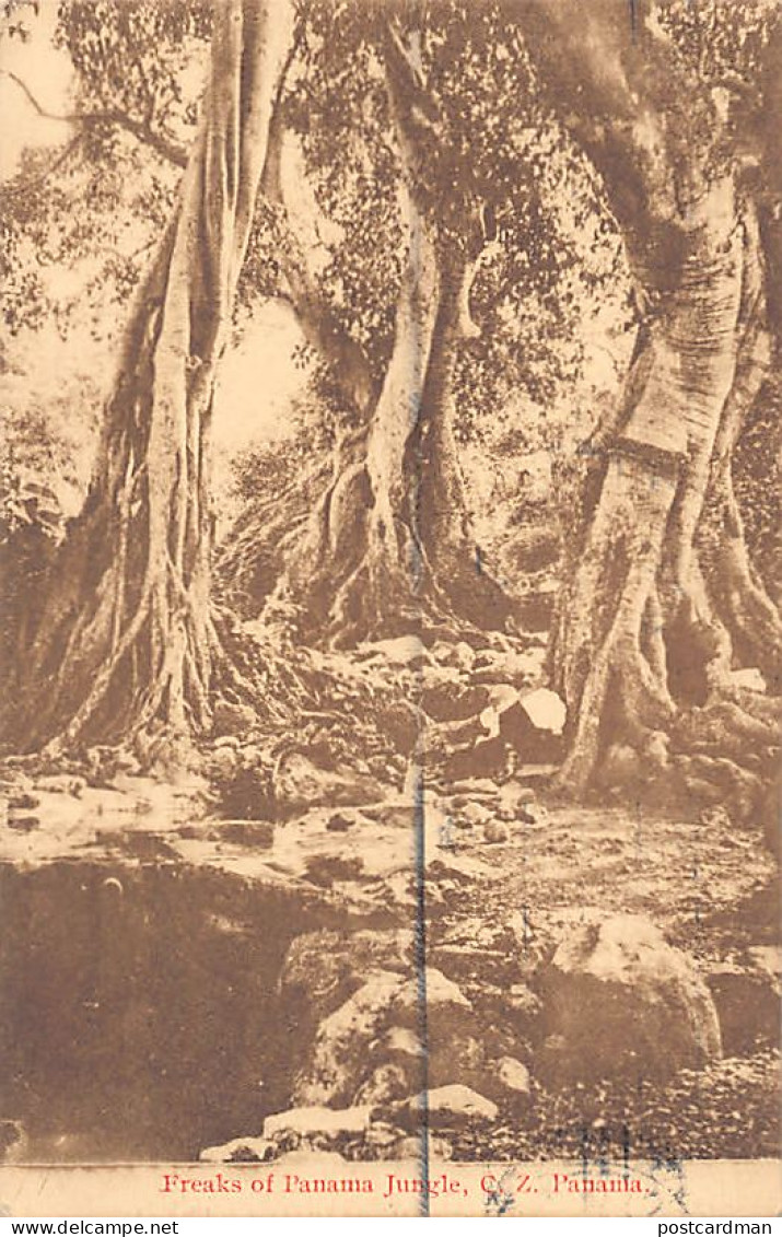 Panamá - CANAL ZONE - Freaks of Panamá Jungle - Publ. Irvin & Thomas