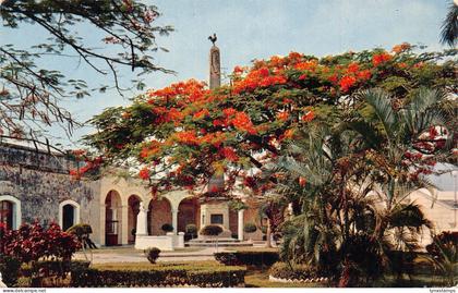 A865 Panama Beautiful Plaza de Francia Panama City vintage postcard