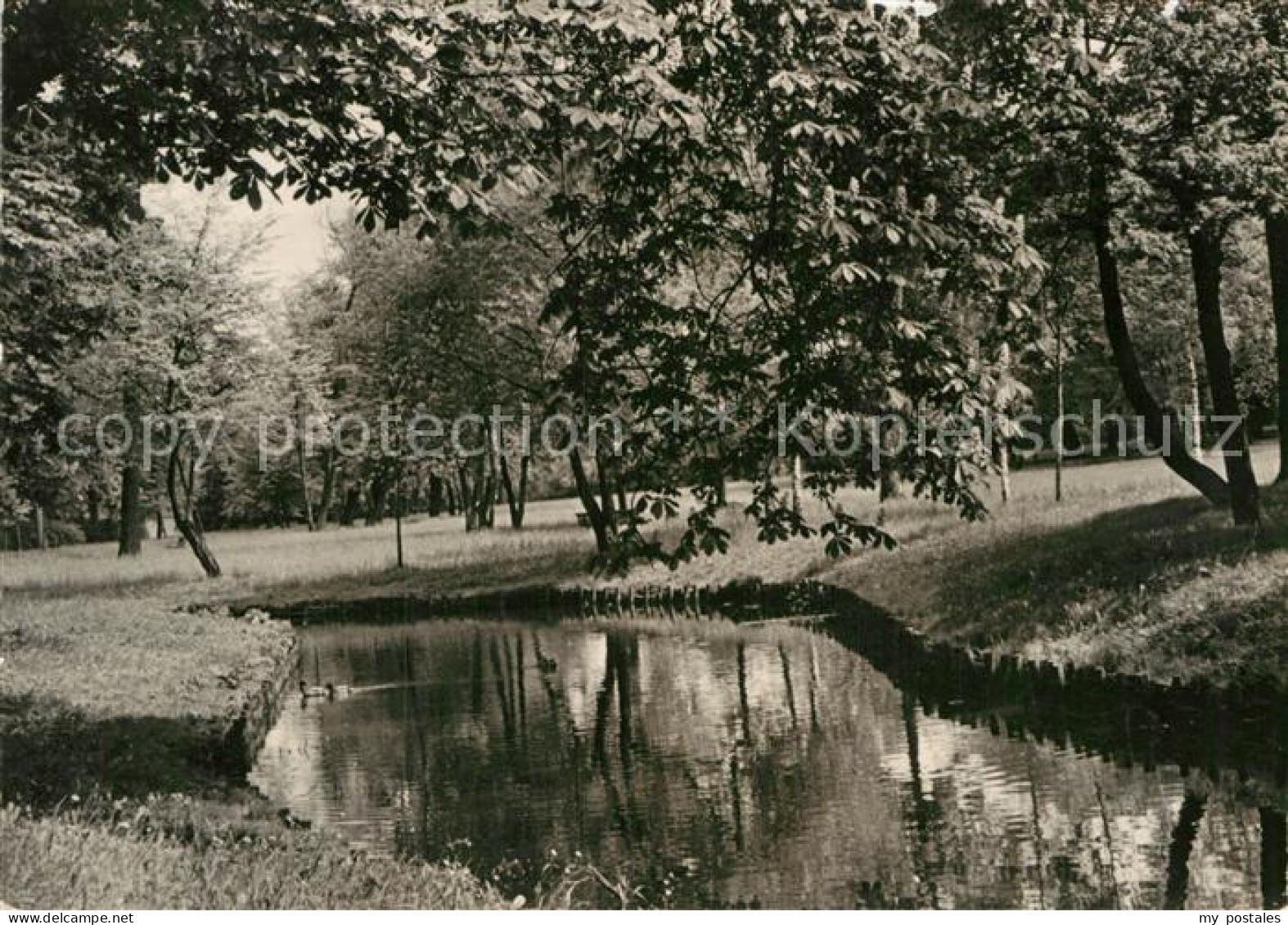 Pankow Die Panke im Buergerpark