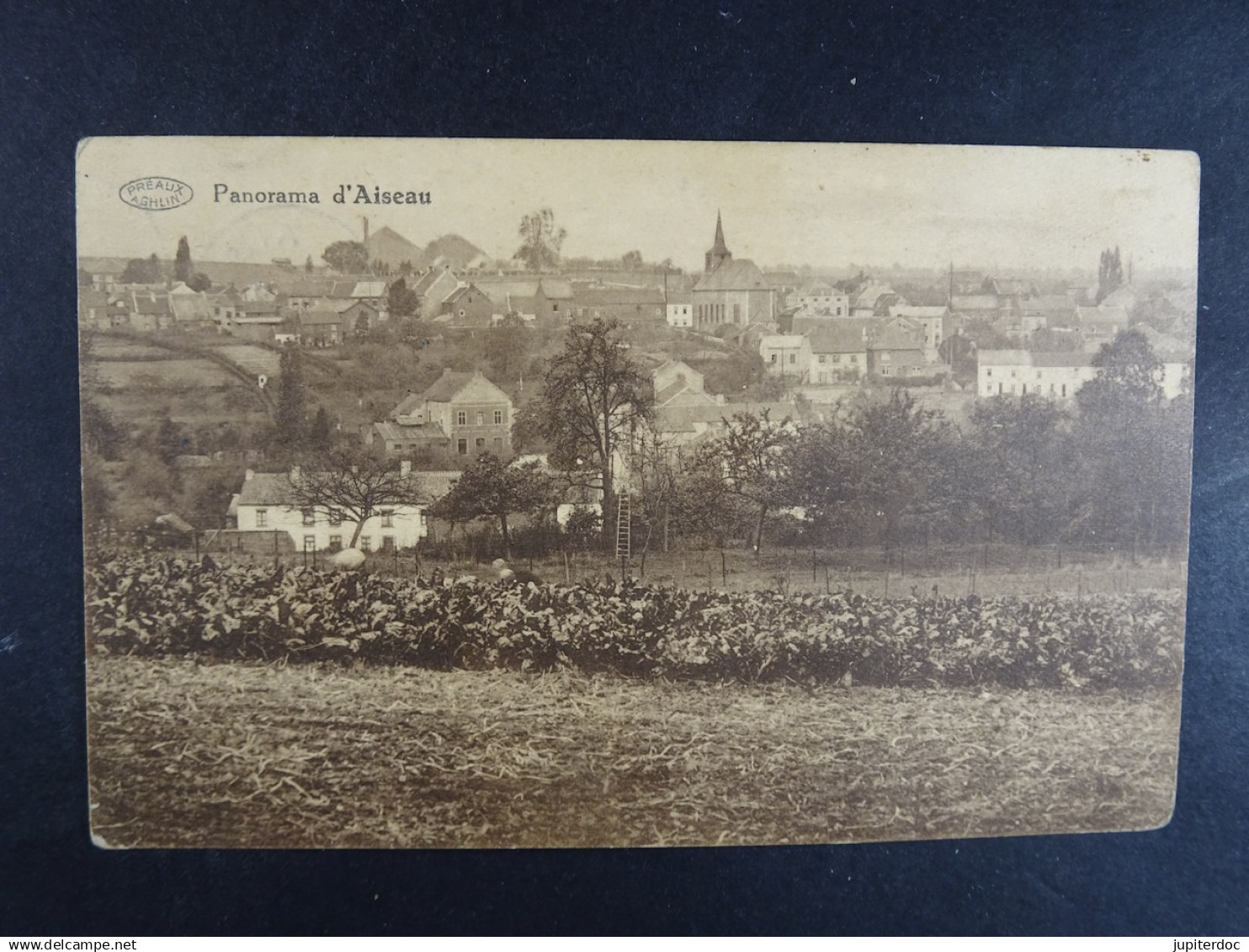 Panorama d'Aiseau