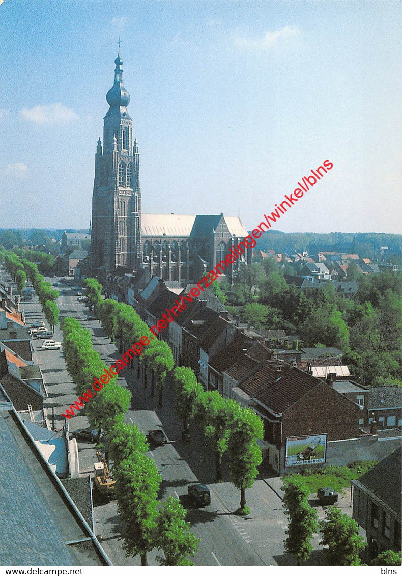 Panoramazicht - Hoogstraten