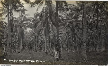 Papua New Guinea, RABAUL, New Britain, Coconut Plantation (1910s) Real Photo