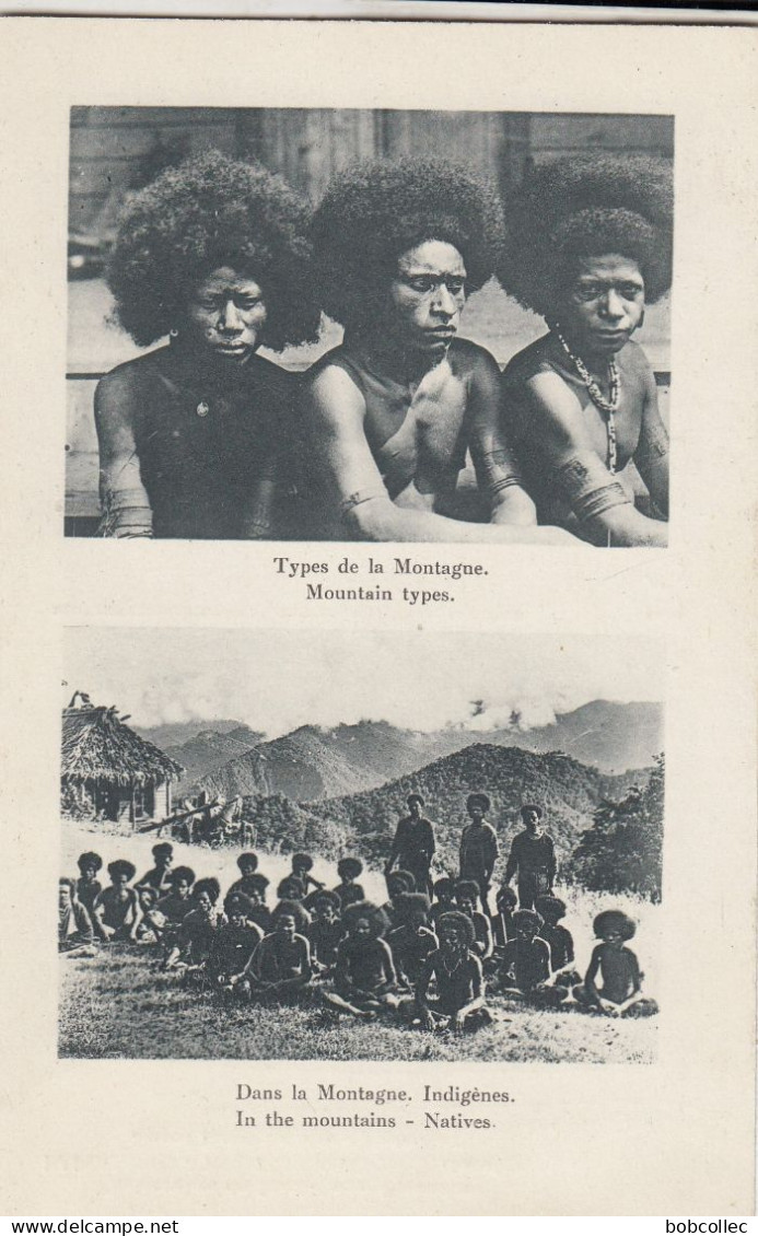PAPOUASIE - NOUVELLE-GUINEE (Océanie): Typpes de la Montagne - Indigènes