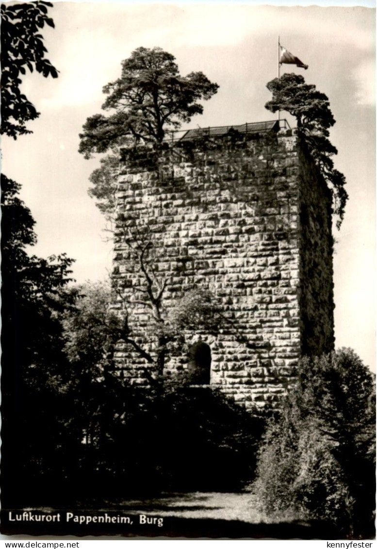 Pappenheim - Burg
