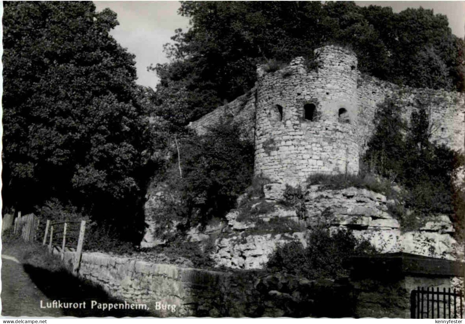 Pappenheim - Burg