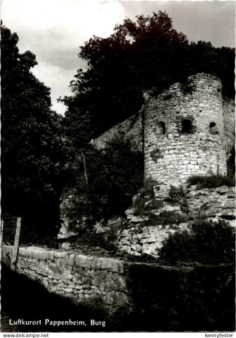 Pappenheim - Burg