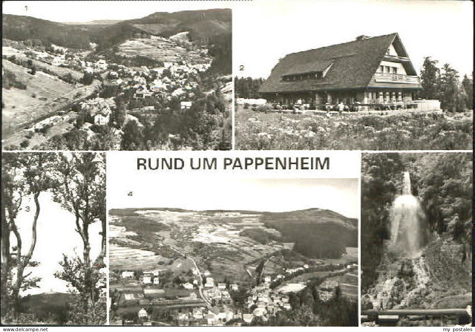 Pappenheim  x 1986