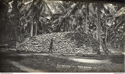 Papua New Guinea, RABAUL, New Britain, Cocoanut Plantation (1910s) Real Photo