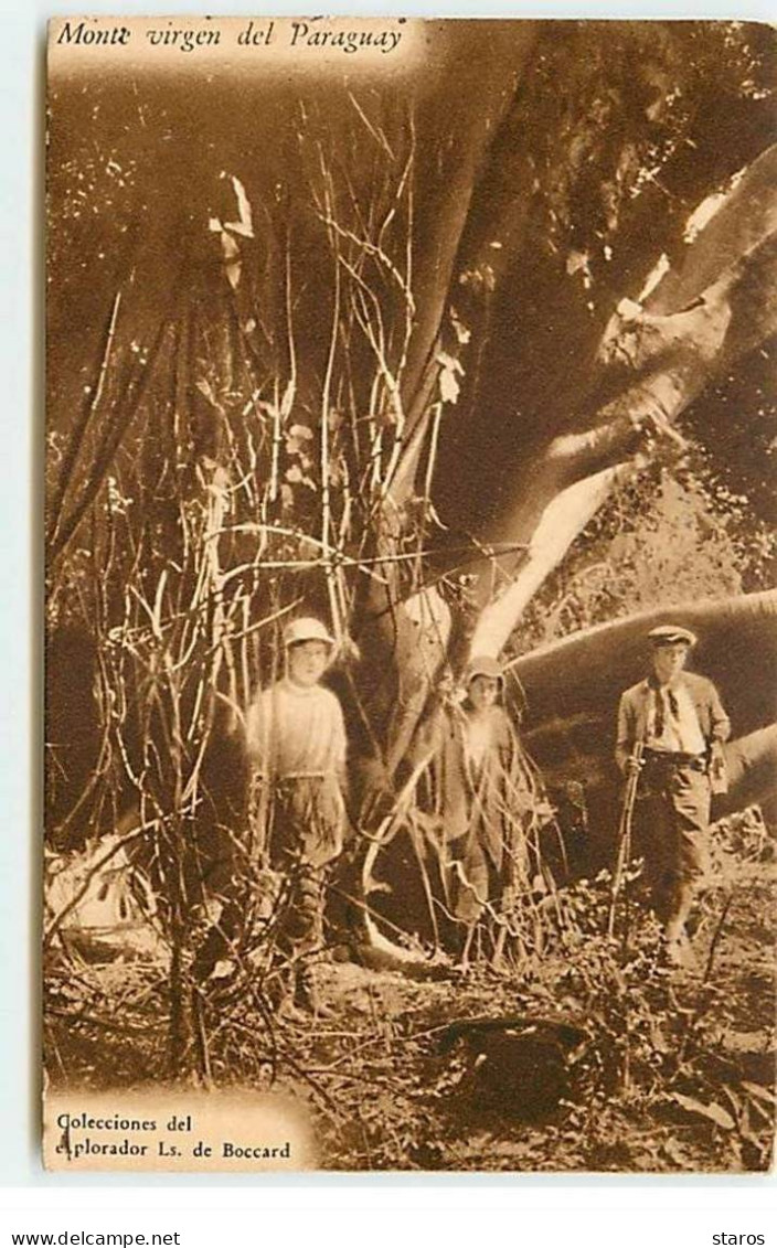 PARAGUAY - Monte virgen del Paraguay