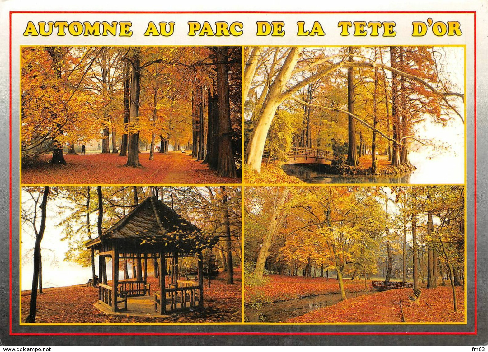 Parc de la Tête d'Or Lyon 6 automne kiosque arbres arbre boids