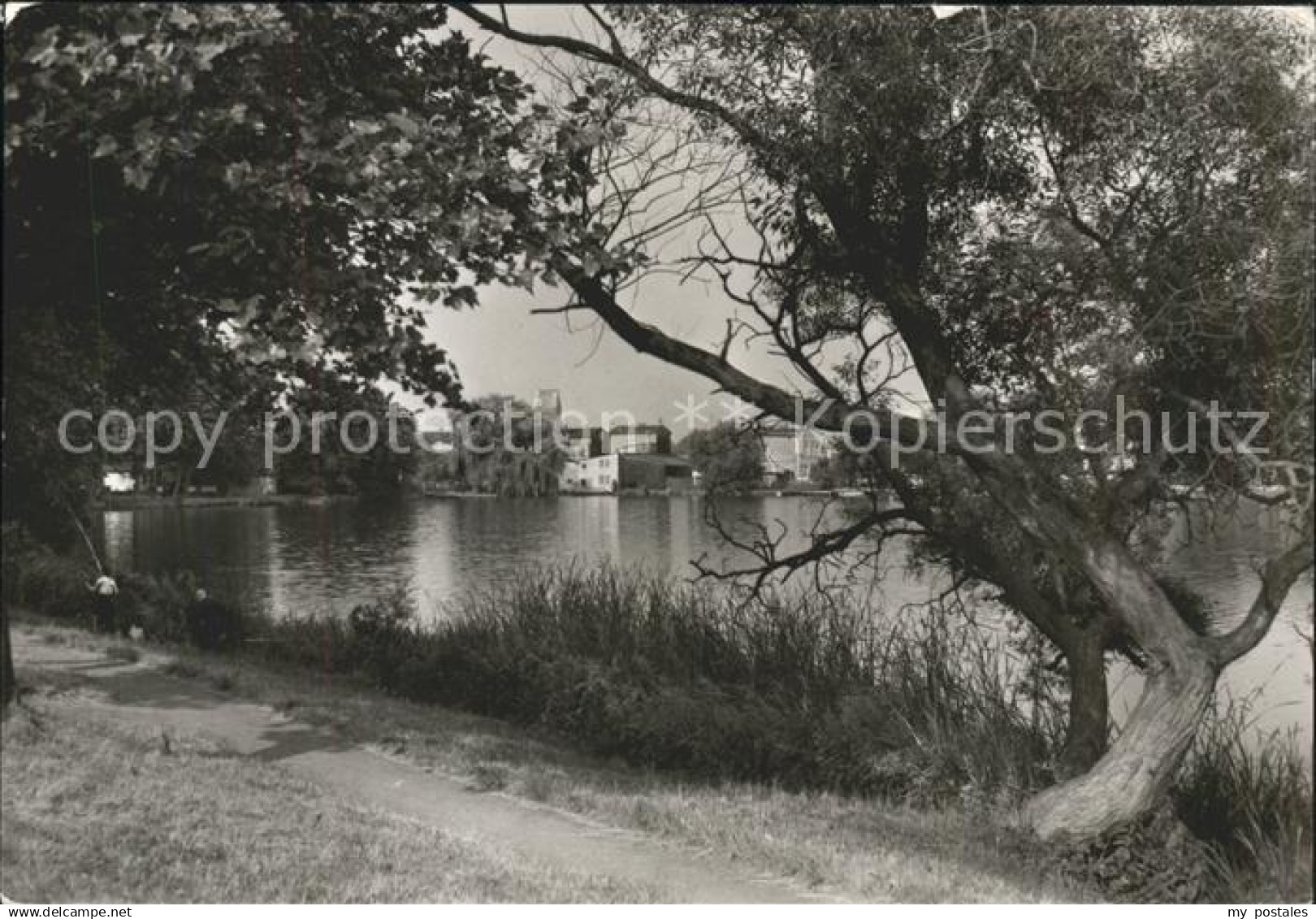 Parchim Mecklenburg-Vorpommern Uferweg am Wockersee