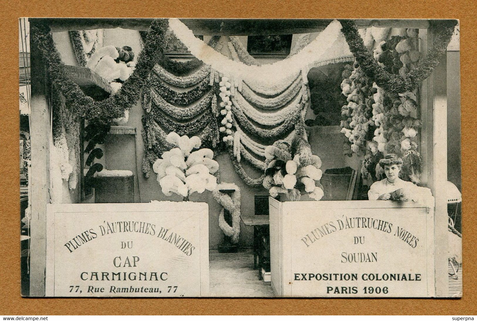 PARIS 01 : " 77 RUE RAMBUTEAU - PLUMES D'AUTRUCHES "