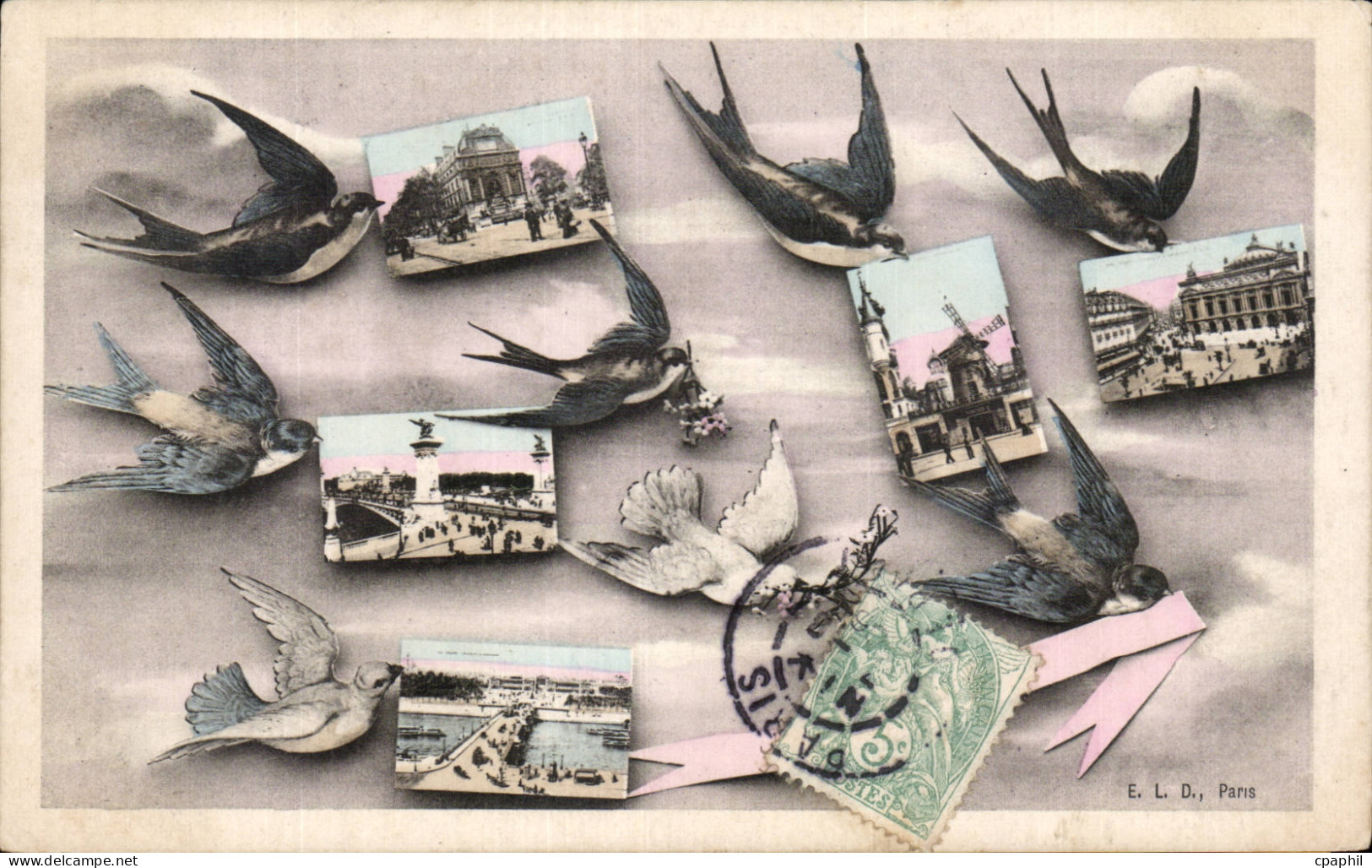 Paris - 1 - Souvenir - Oiseau - birds - CPA