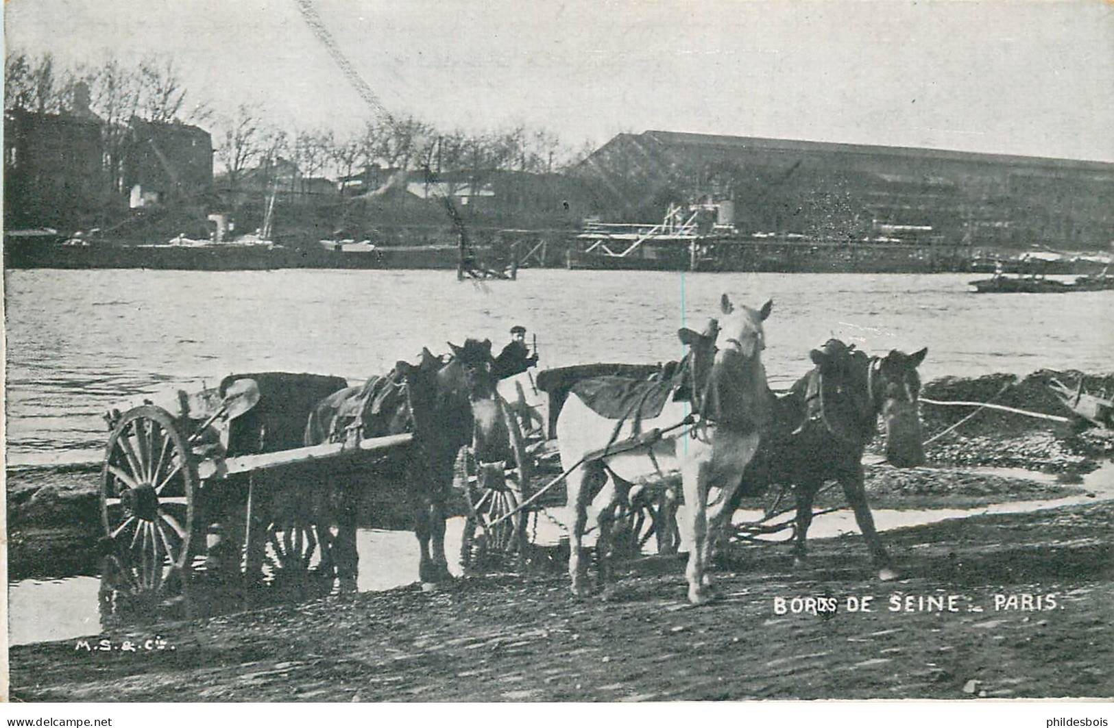 PARIS   ( berges de la seine  )  BORD DE SEINE