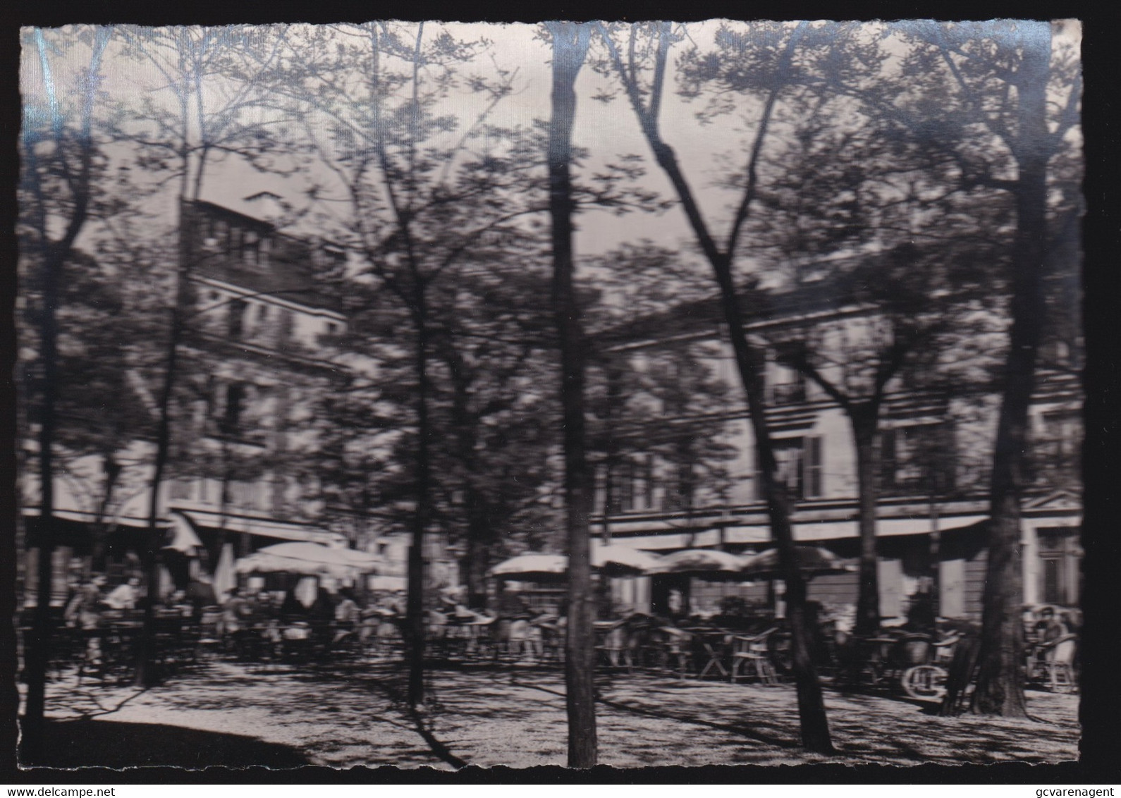 PARIS MONTMARTRE  PLACE DU TERTE   CARTE PHOTO