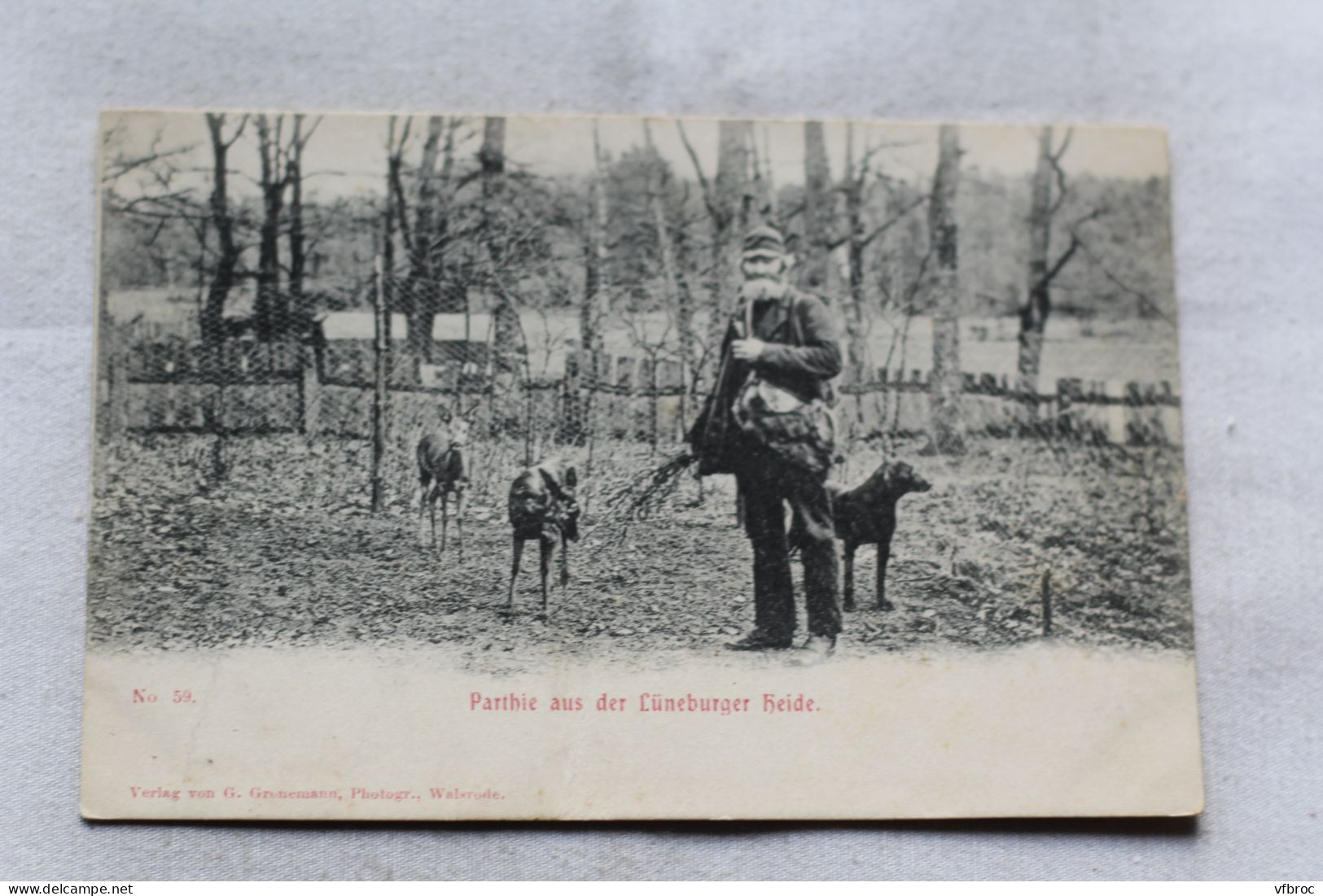 parthie aus der Luneburger Heide, Allemagne