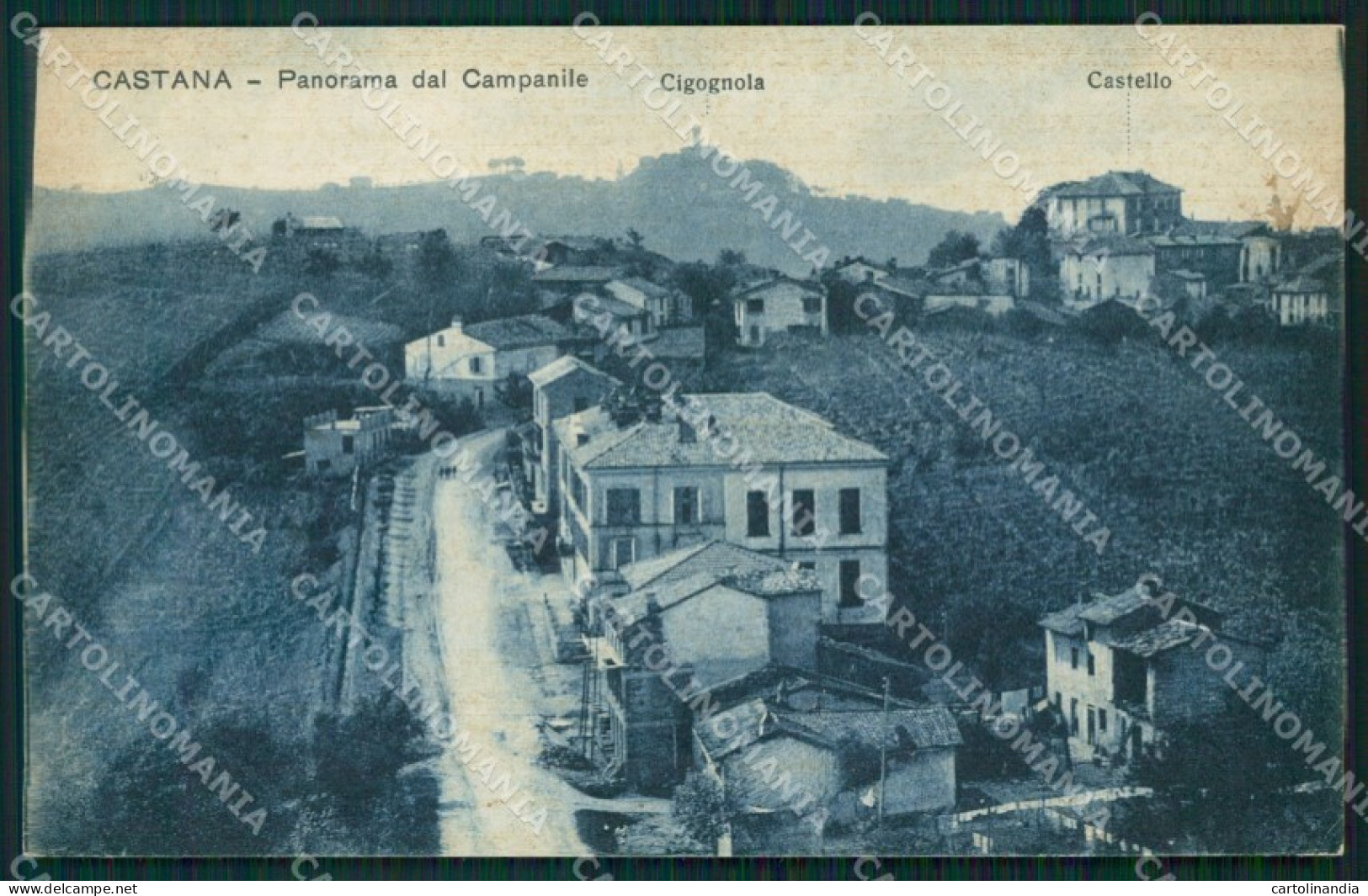 Pavia Castana cartolina QT0406