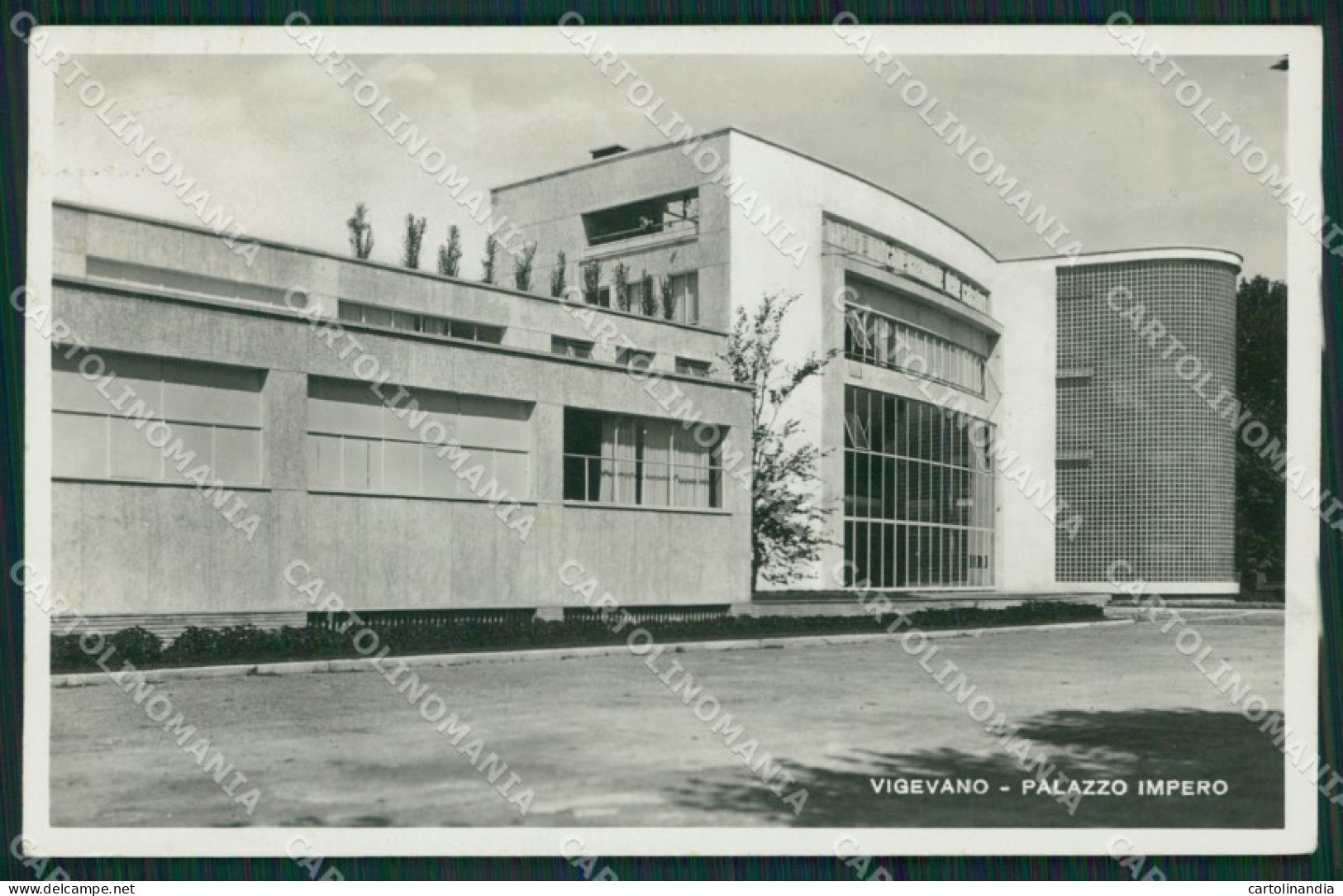 Pavia Vigevano Foto cartolina KV2173