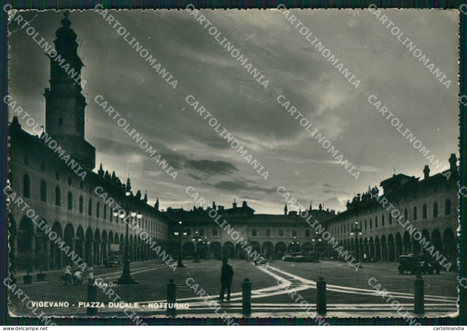 Pavia Vigevano Foto FG cartolina ZK4530