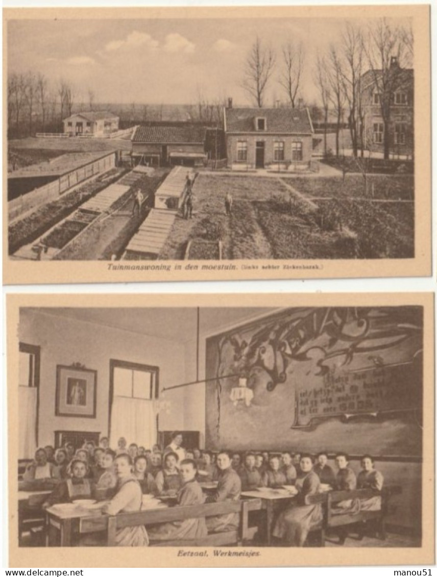 Pays-Bas - ALPHEN a/d RIJN - 2 CP : Martha Stichting