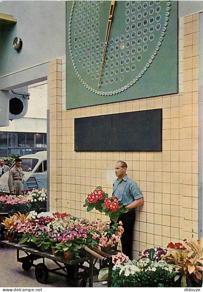 Pays-Bas - Nederland - Aalsmeer - Centrale Aalsmeerse Veiling - CPM - Voir Scans Recto-Verso