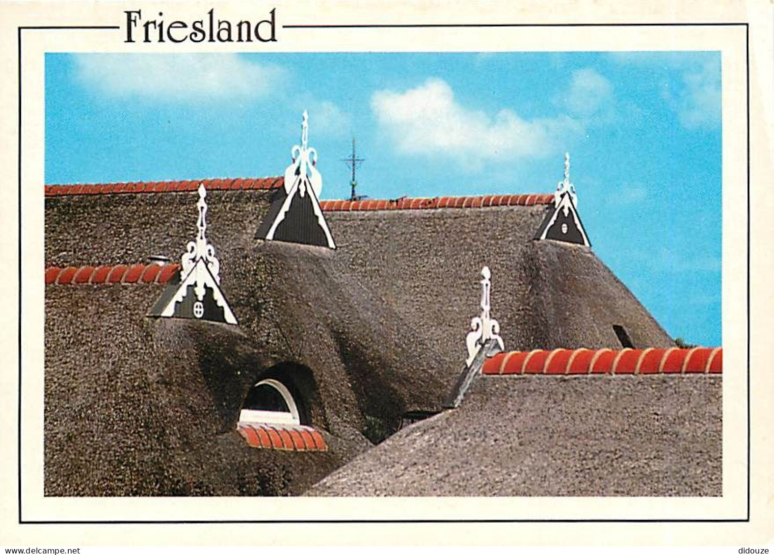 Pays-Bas - Nederland - Friesland - CPM - Voir Scans Recto-Verso