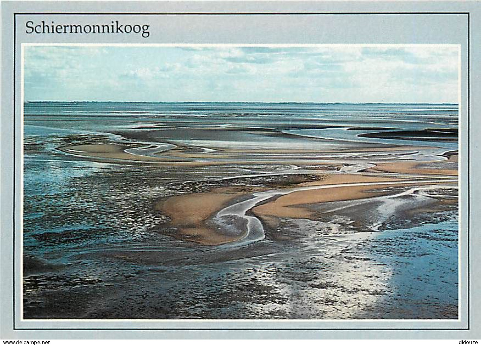 Pays-Bas - Nederland - Schiermonnikoog - Nationaal Park - CPM - Voir Scans Recto-Verso