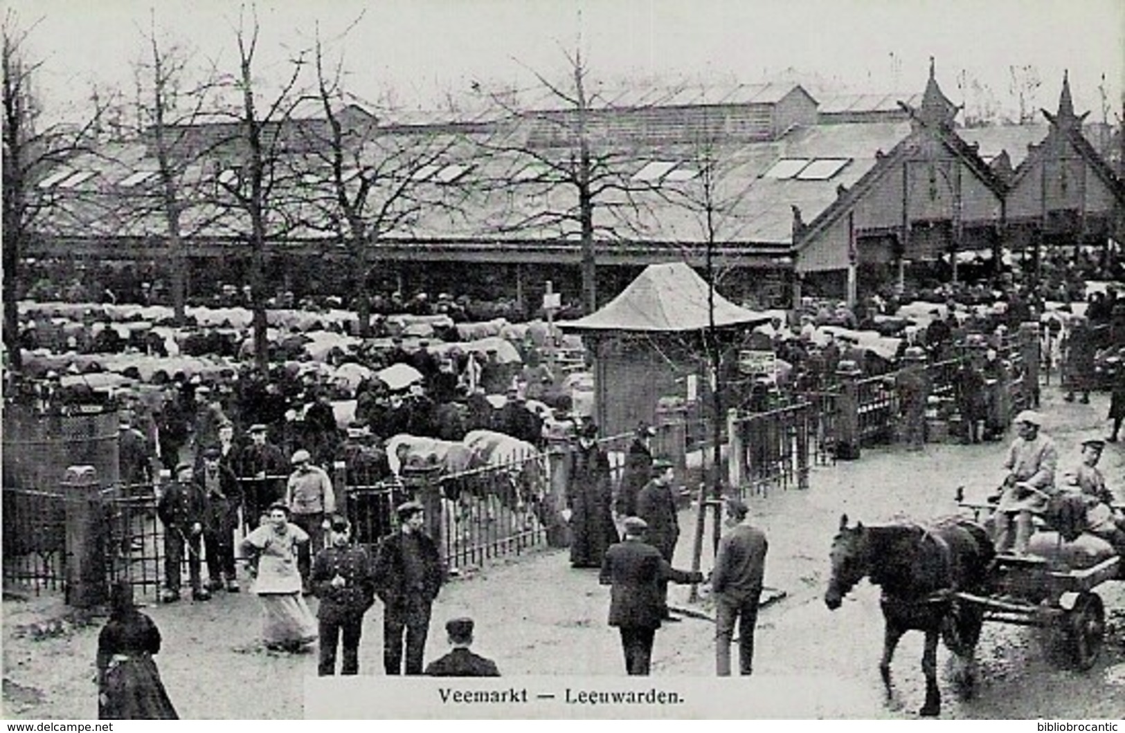 PAYS-BAS - VEEMARKT - LEEUWARDEN