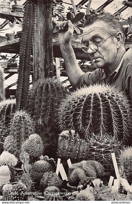 Nederland - AALSMEER - Cactusweker