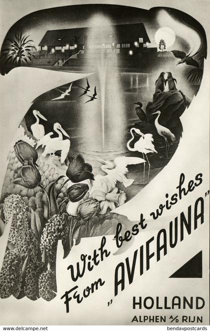 Nederland, ALPHEN a/d RIJN, Vogelpark Avifauna (1950s) Ansichtkaart