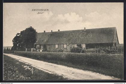 AK Amerongen, Erica