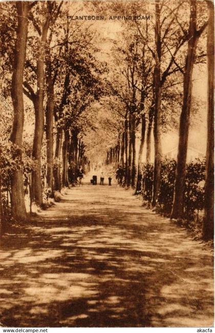 CPA APPINGEDAM Plantsoen NETHERLANDS (705912)