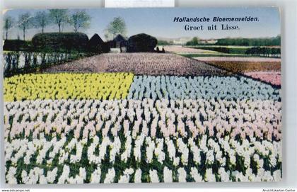 50655387 - Lisse