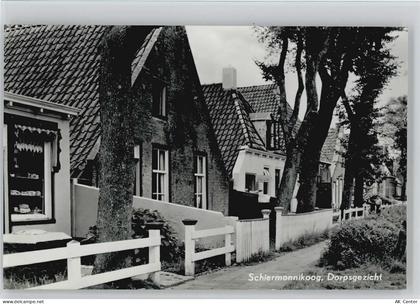 9166 Schiermonnikoog - Dorpsgezicht - 10032141