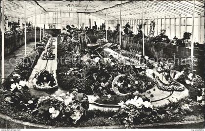Aalsmeer Minicorso
