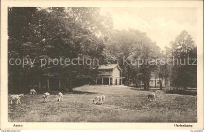 Assen Hertenkamp Wildgehege
