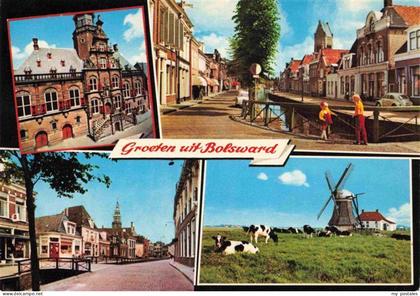 Bolsward Boalsert Friesland NL Ortsansichten Windmuehle