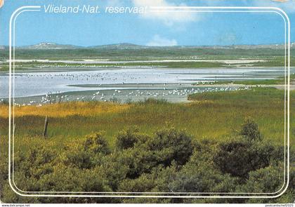 BT4665 Vlieland ant reservaat Netherlands