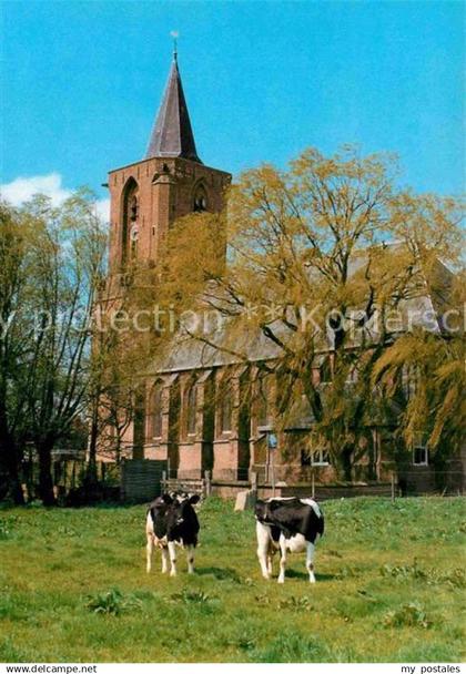 Bunschoten NH Kerk Kirche Kuehe