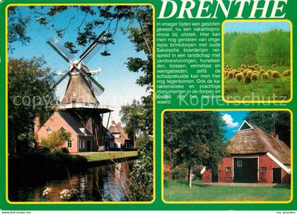Drenthe Muehle Schafe Scheune