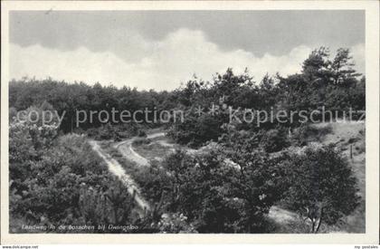 Dwingeloo Landweg in de bosschen Landschaft