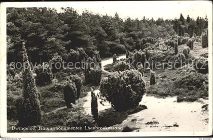 Dwingeloo Natuurmonumenten Lheebroekerzand Landschaft