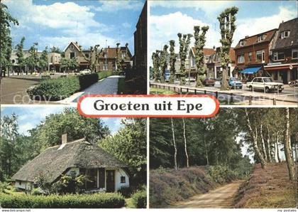 Epe Gelderland Teilansichten Reetdachhaus Waldpartie