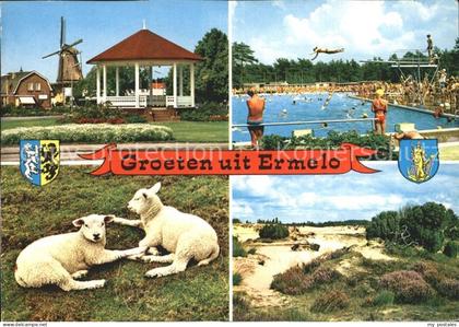 Ermelo Freibad Schafe Muehle Duenen