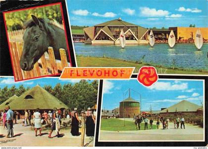 Flevohof Lelystad Leliestad Flevoland NL Flevohof Pferd Surfboote See Pavillons