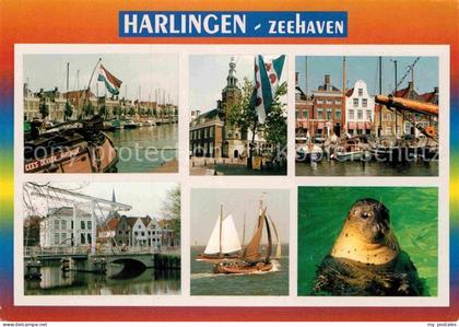 Harlingen Friesland Zeehaven Seeloewe