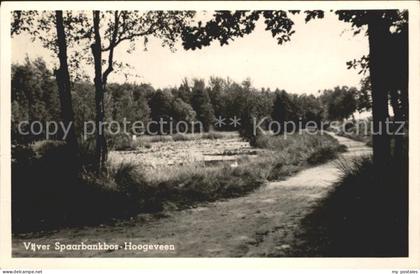 Hoogeveen Vijver Spaarbankbos
